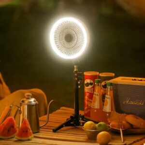 Fan With Lighting Lamp